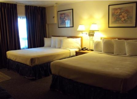 Twin Peaks Motel Napanee 외부 사진