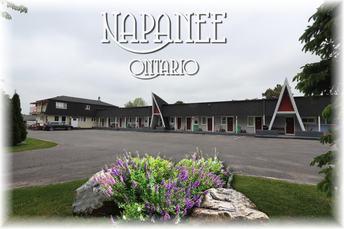 Twin Peaks Motel Napanee 외부 사진